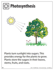 The Sun and Its Energy (Primary)